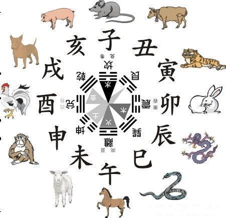 馬 五行|生肖屬馬人的五行與財運